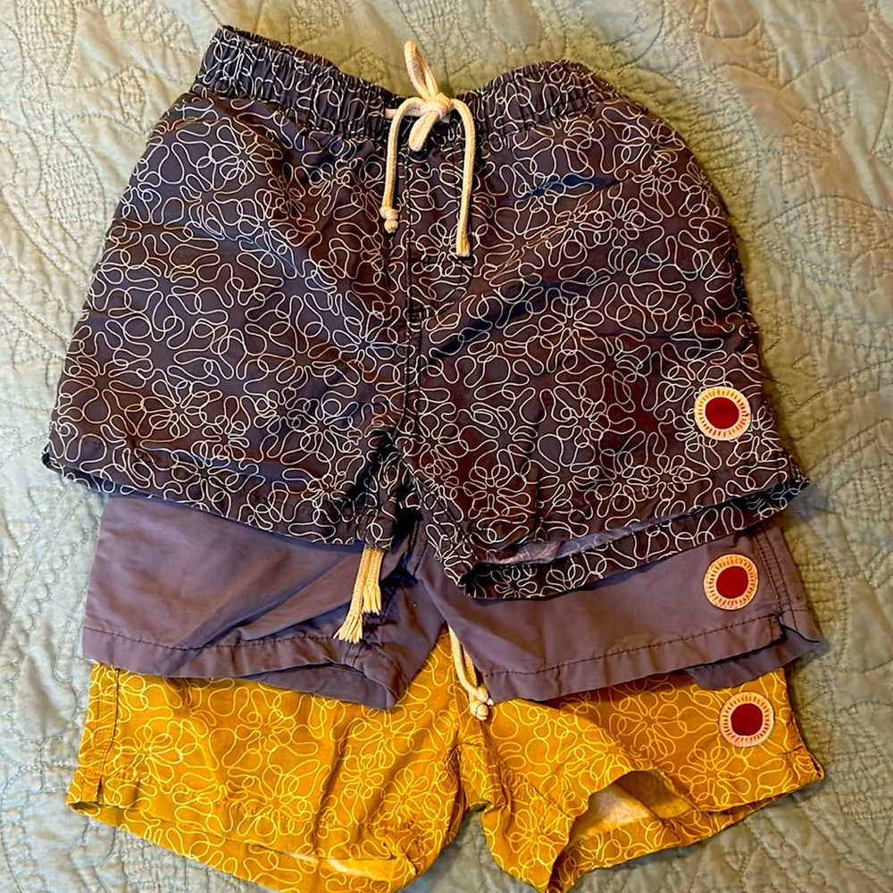 Mollusk California shorts